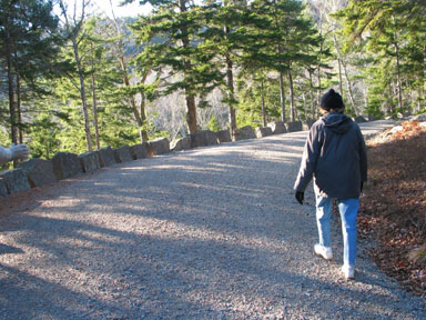 Carriage roads in Acadia