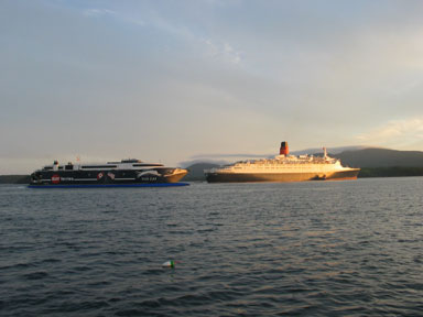 Cat sailing in Bar Harbor
