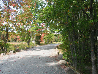Biking on the carriage roads