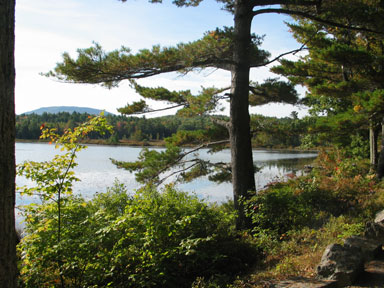 Pond along the carriage roads