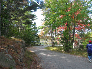 Walking the carriage roads
