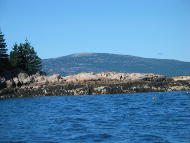 Acadia coastline