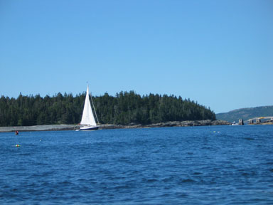 Sailboat in Frenchman Bay